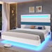 Queen Floating Bed Frame with LED Lights, USB Ports, & Storage NEVER USED