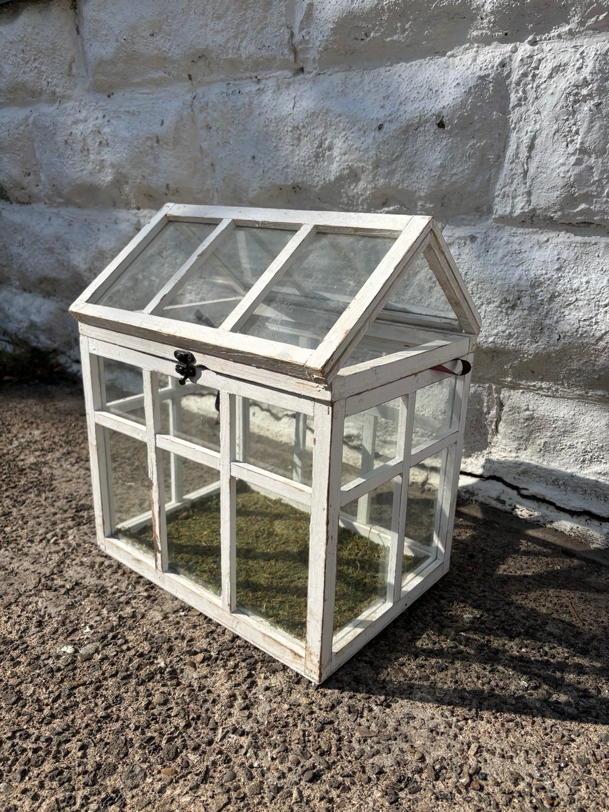 XL terrarium