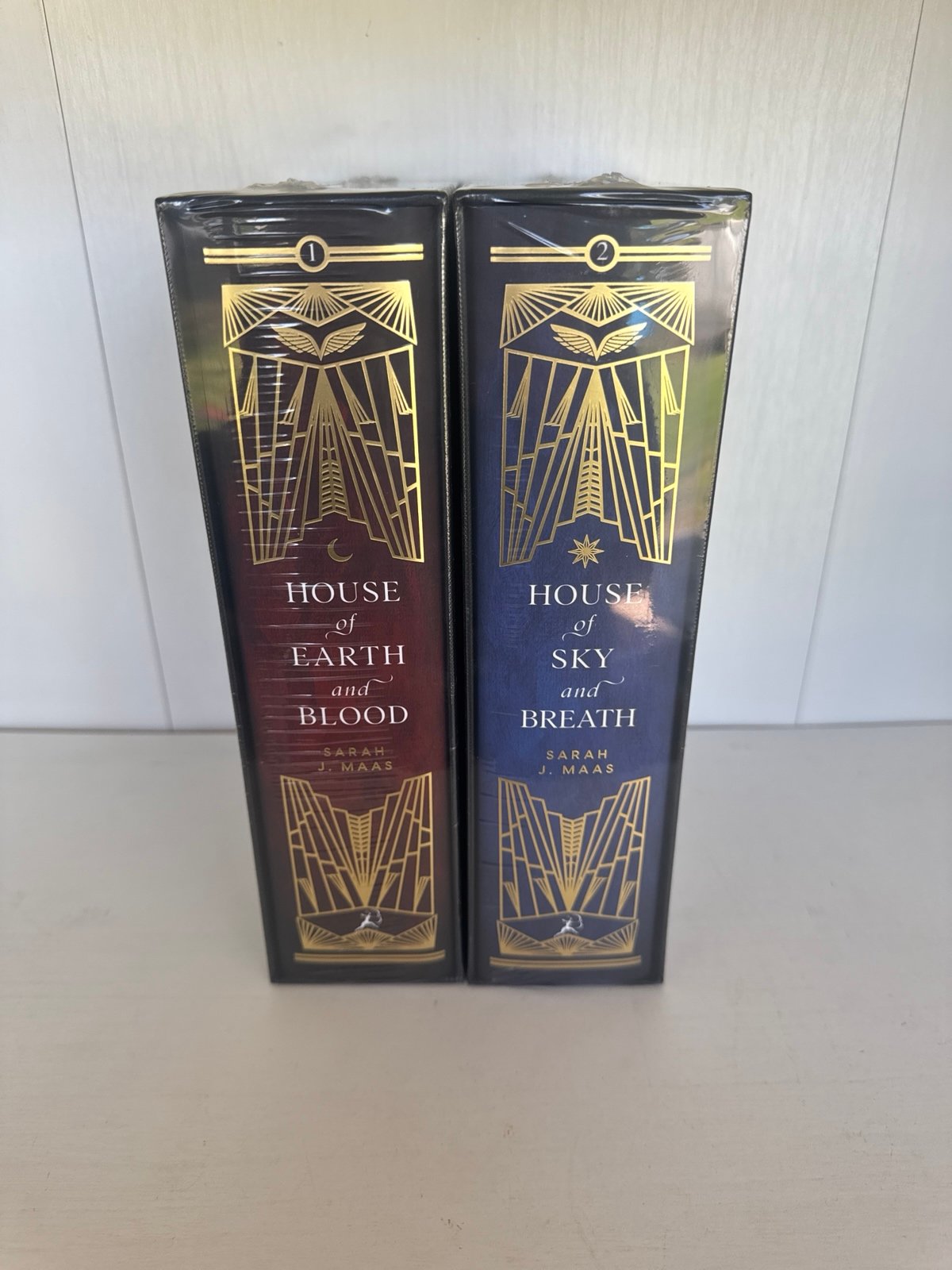 Fairyloot Crescent City set