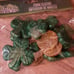 St Patrick's day decoration set