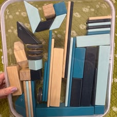 Tegu set