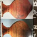 Complete Collection of Japanese Art