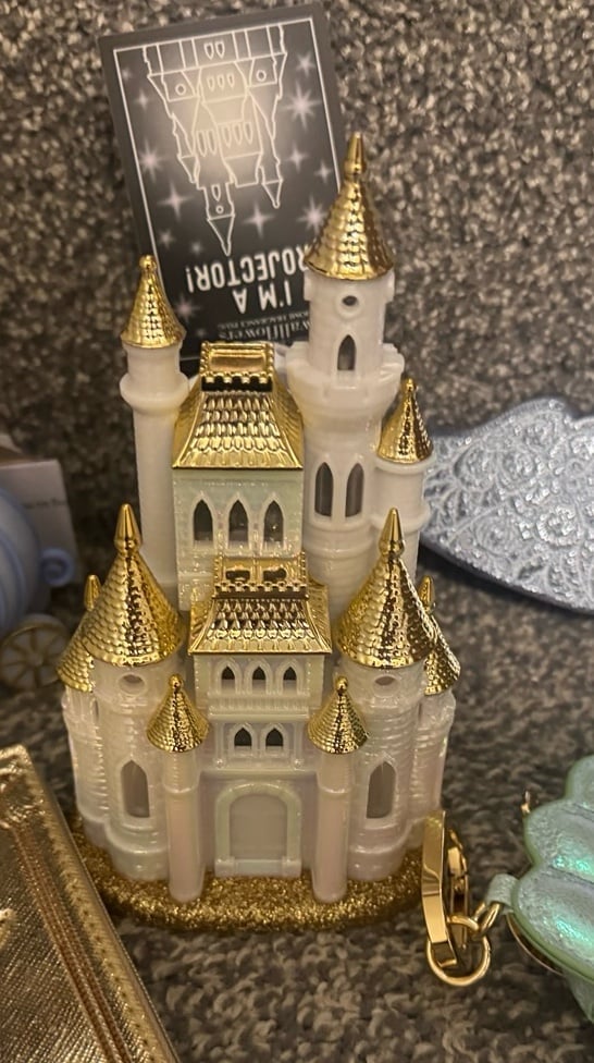 Disney castle wallflower in plug in