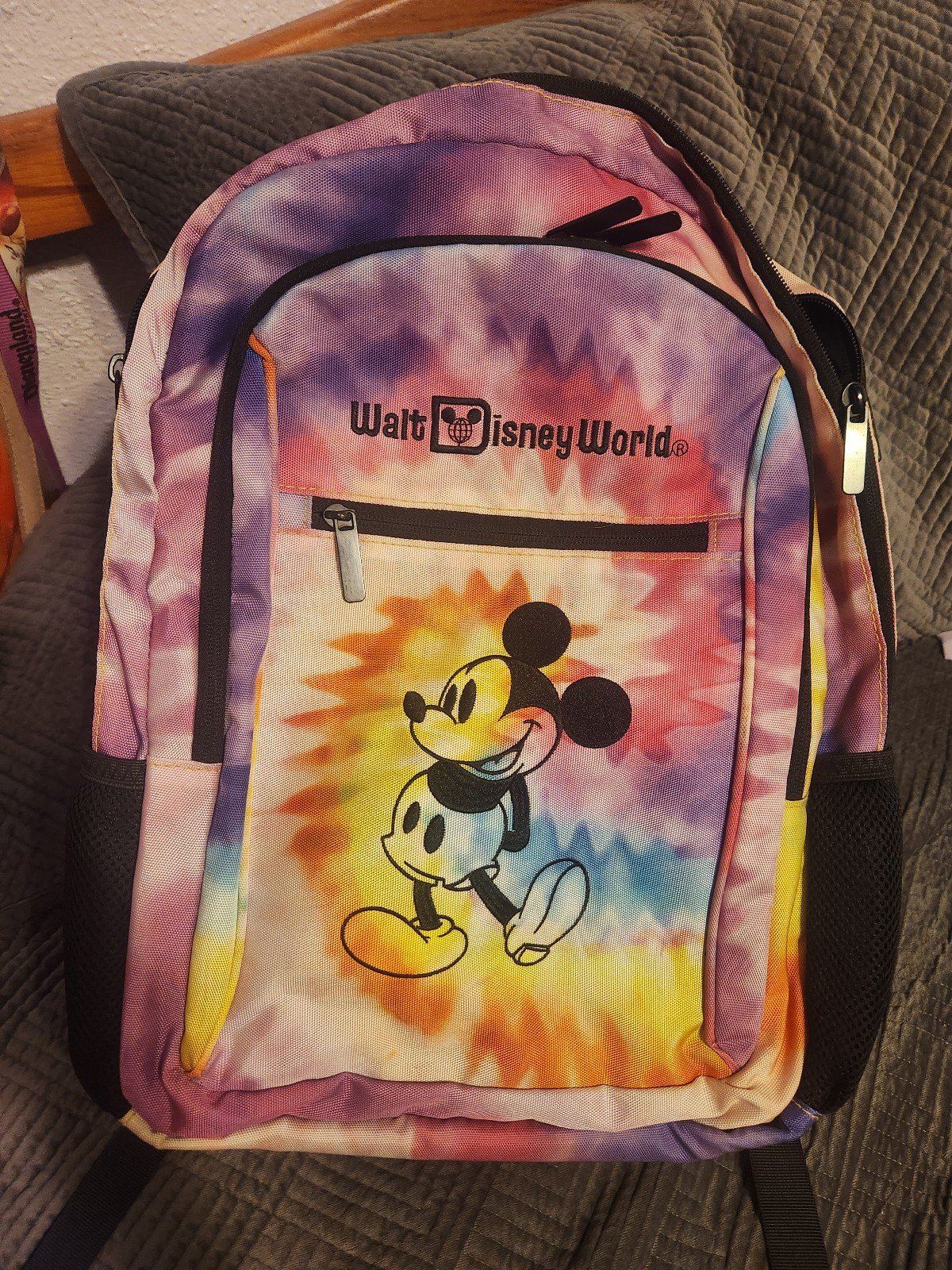 Backpack from WDW
