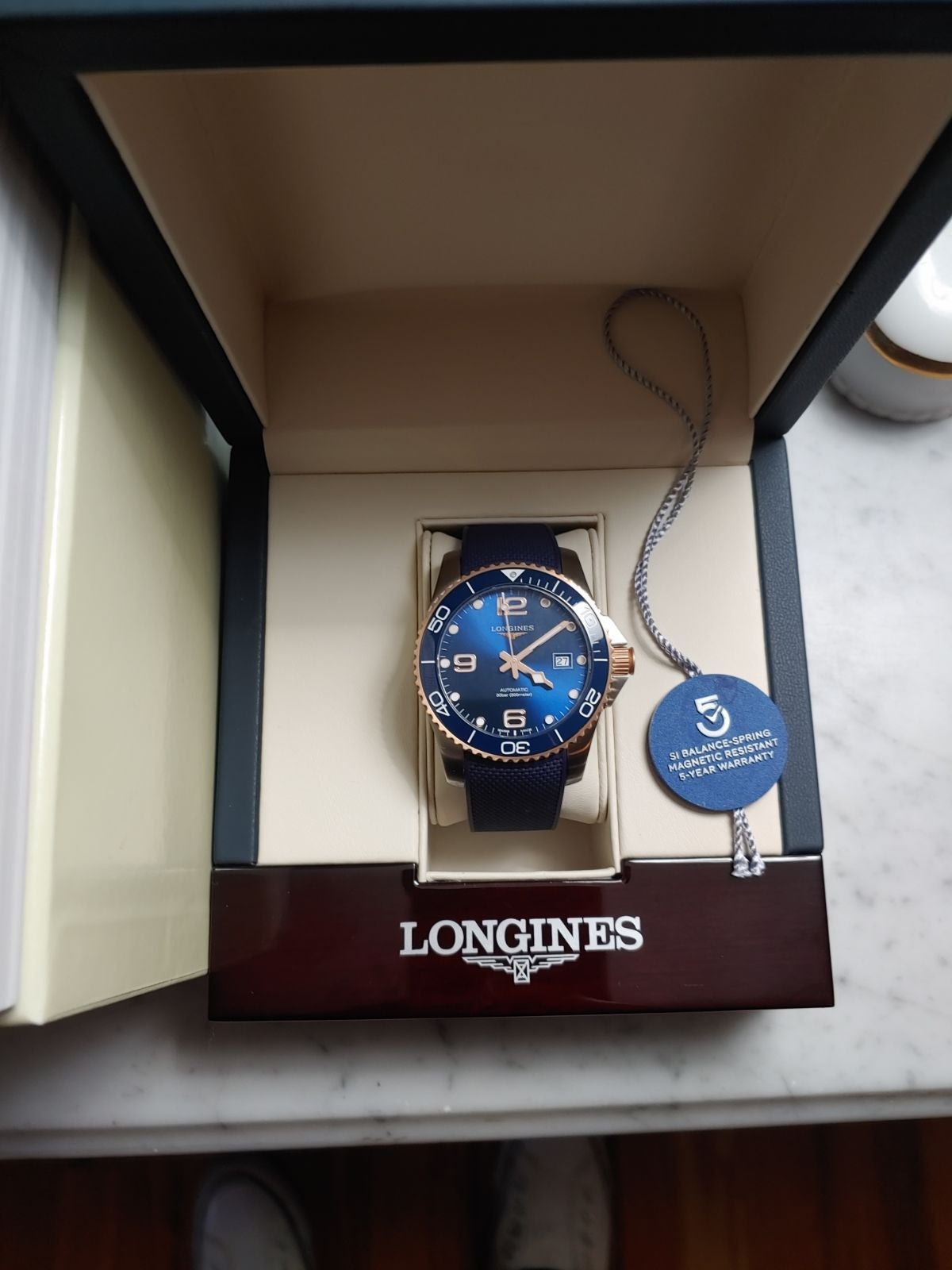 Men's Longines Dive Watch