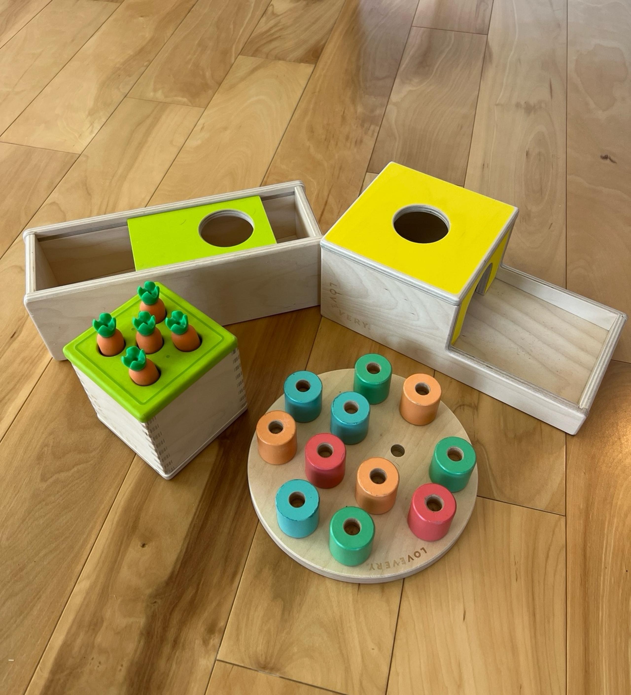 Lovevery bundle wooden toys carrot sorter peg ball