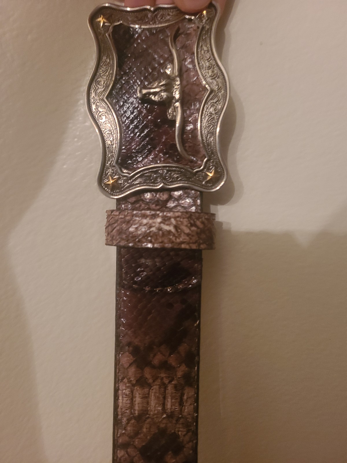 Python belt