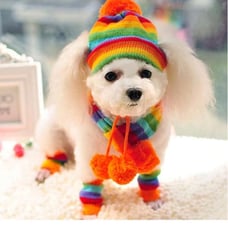 Hand-Woven Dog Winter Scarf Leg Warmers Hat Puppy Small Dogs Cat Costume New