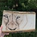 Wood burn lion wall art