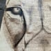 Wood burn lion wall art