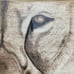 Wood burn lion wall art