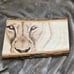 Wood burn lion wall art
