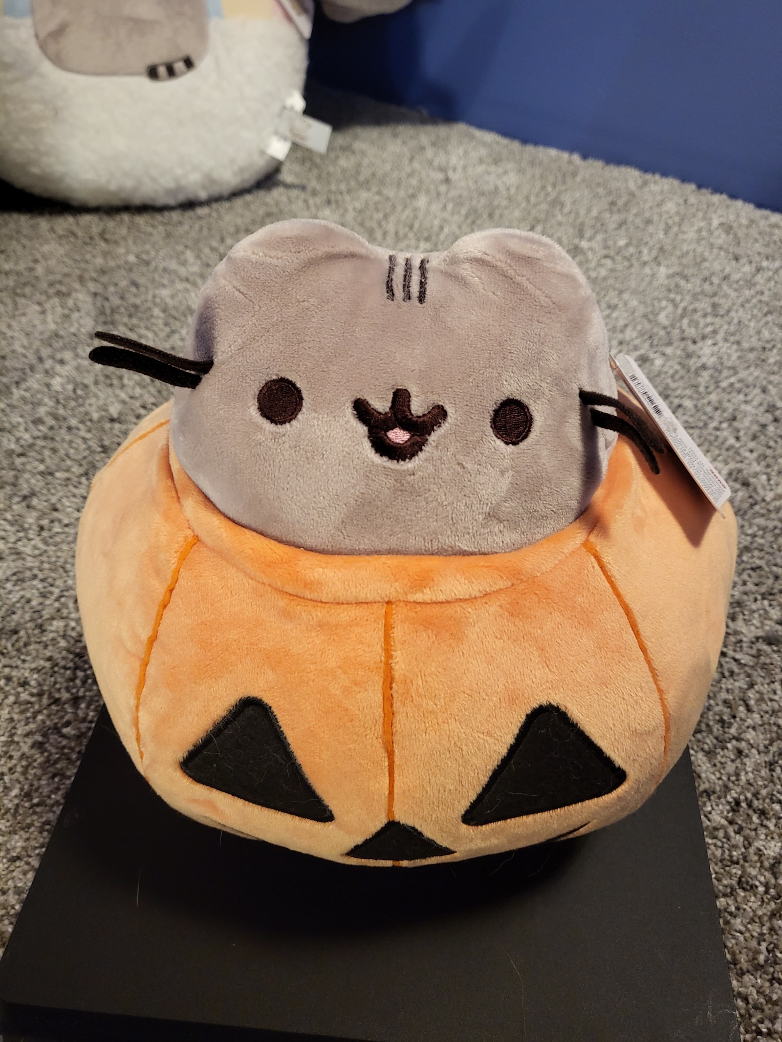 pusheen in pumpkin rare