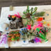 Bundle of Aquarium