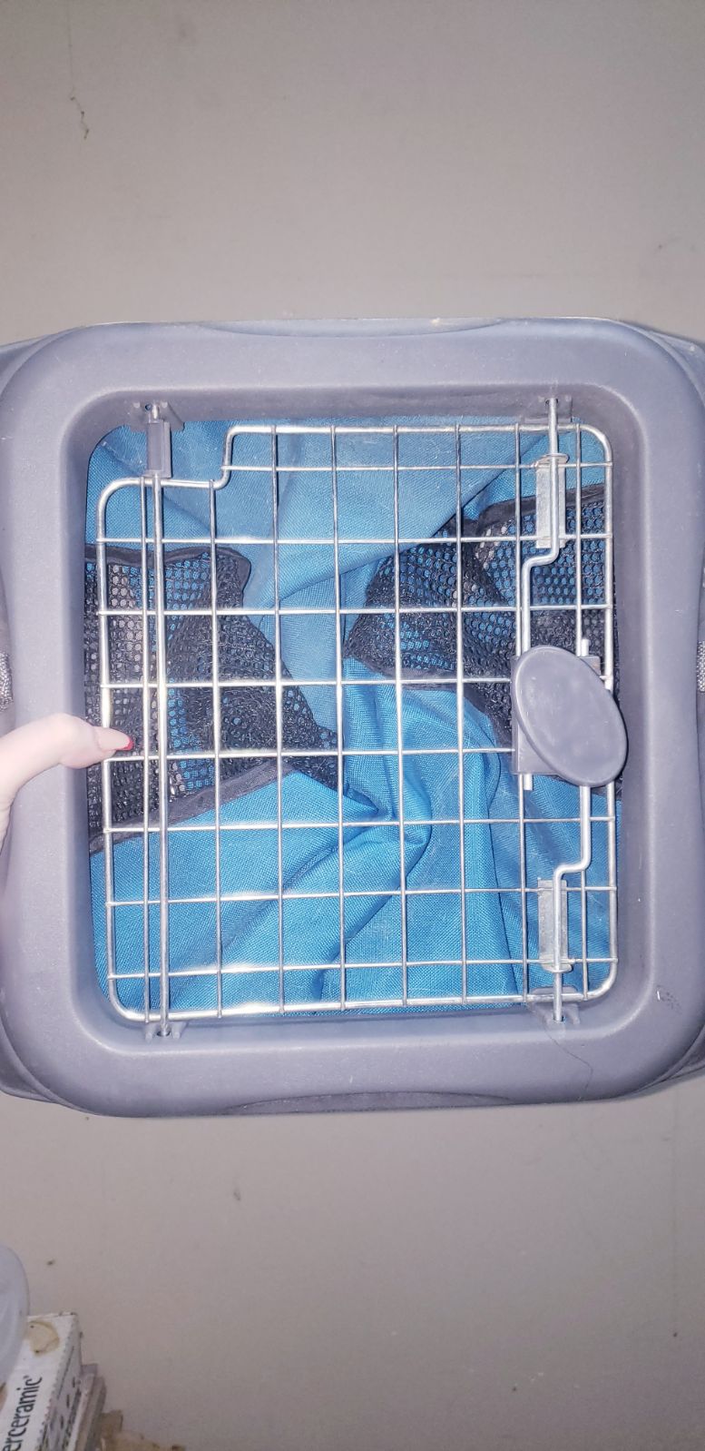 Collapsible Pet Carrier