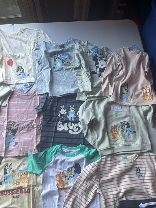 Size 5 - Various Bluey Clothing