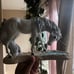 Princeton gallery 'love purity' unicorn