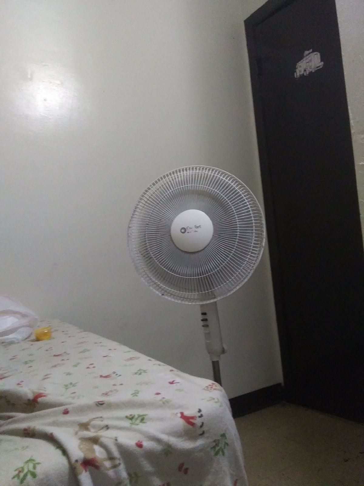 A fan