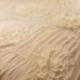 Beautiful Ivory Ruched Comforter