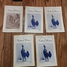 The Feathered Warrior