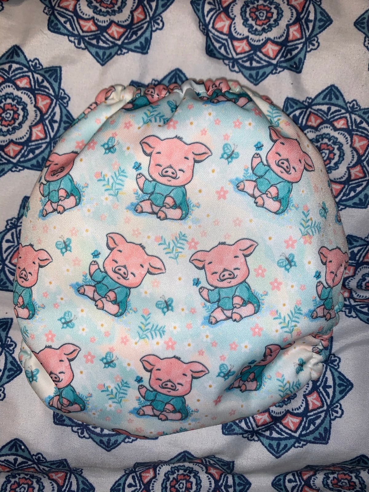 Mama koala pigs exclusive