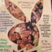 *** Vintage 1976 Playboy Magazine 9 -Issues W/ Centerfolds ***IN PLASTIC