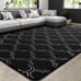 Shag Area Rug for Living Room, 4x6 Memory Foam Rugs