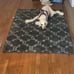 Shag Area Rug for Living Room, 4x6 Memory Foam Rugs