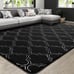 Shag Area Rug for Living Room, 4x6 Memory Foam Rugs