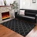 Shag Area Rug for Living Room, 4x6 Memory Foam Rugs