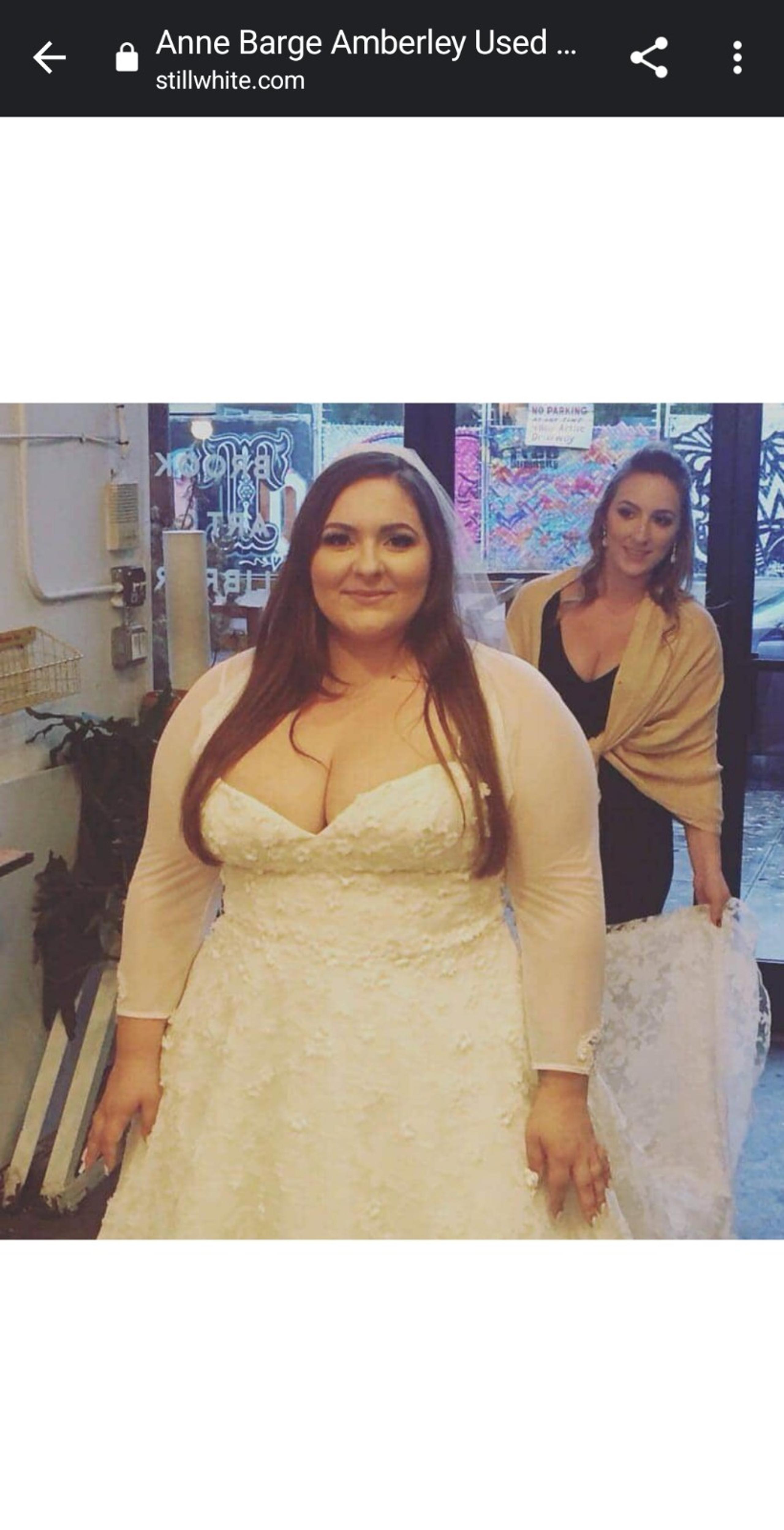 Anne Barge Amberley Plus Size Wedding Dress $3,000 (Retail: $4,750)