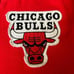 Vintage Adidas CHICAGO Bulls Full Zip Track Jacket with Player Autograph Medium