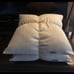 Dwell Studio Designer Down Feather Pillows