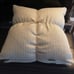 Dwell Studio Designer Down Feather Pillows