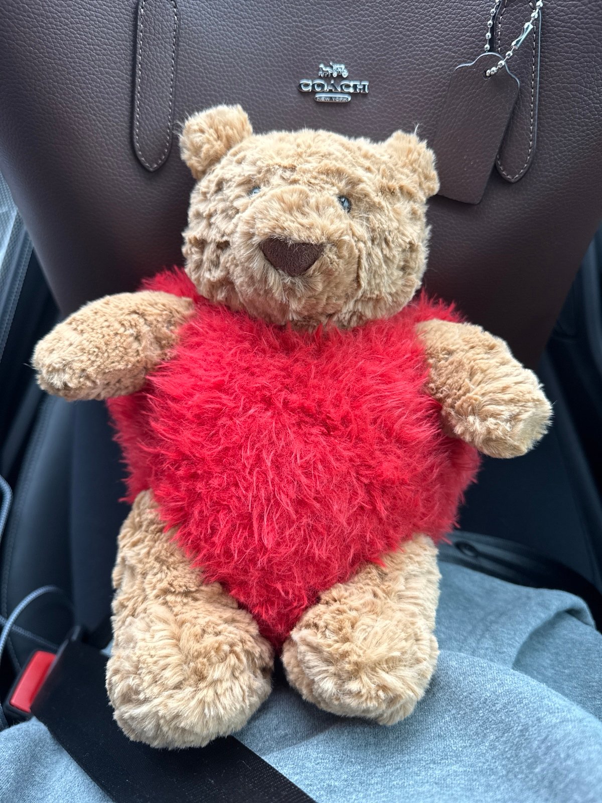 Jellycat Bartholomew Bear Heartthrob