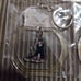 Phantom Theta Raffle Lottery Miu Mona Rinka Tousui Hyakka C Prize Acrylic Keychain