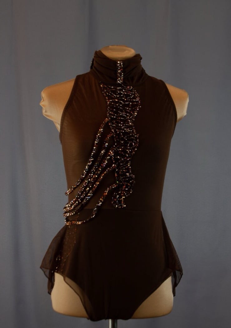 Brown Leotard w Skirting Costume