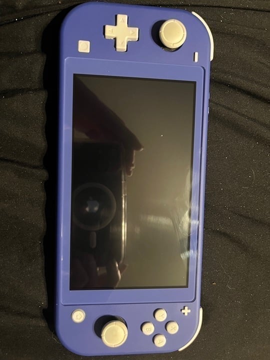 Nintendo switch lite