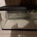 10 gallon tank (reptiles or aquatic)