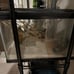 10 gallon tank (reptiles or aquatic)