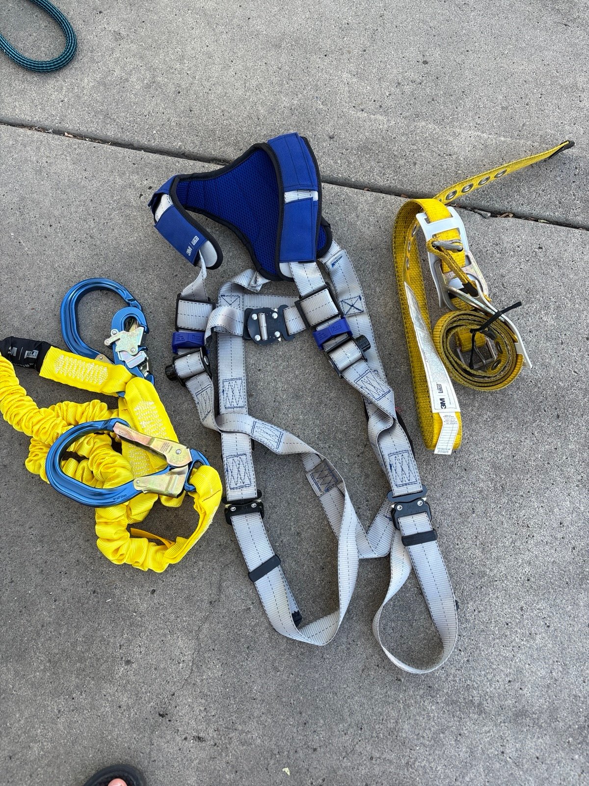 Harness