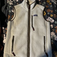 Patagonia Vest