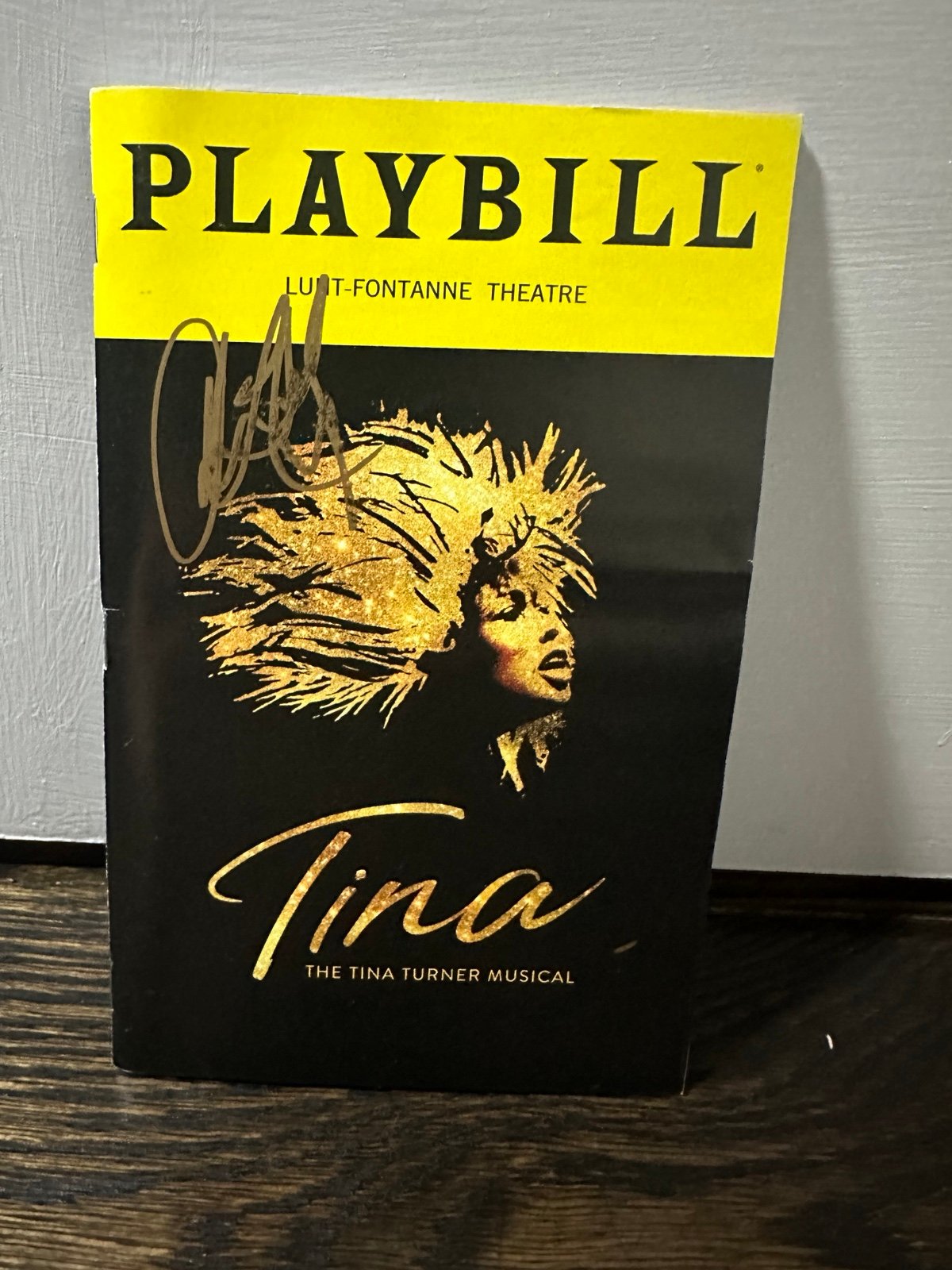 Tina Turner Musical Signed Broadway Playbill