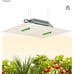 THCCBD Grow Light for Indoor Plants Full Spectrum [Efficient Heat Dissipation],