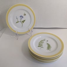 6 WILLIAMS SONOMA Summer Studies 7 7/8inch Plates from Japan YELLOW BAND