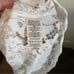 Free People Sweet Meadow Dreams white lace tank top size small