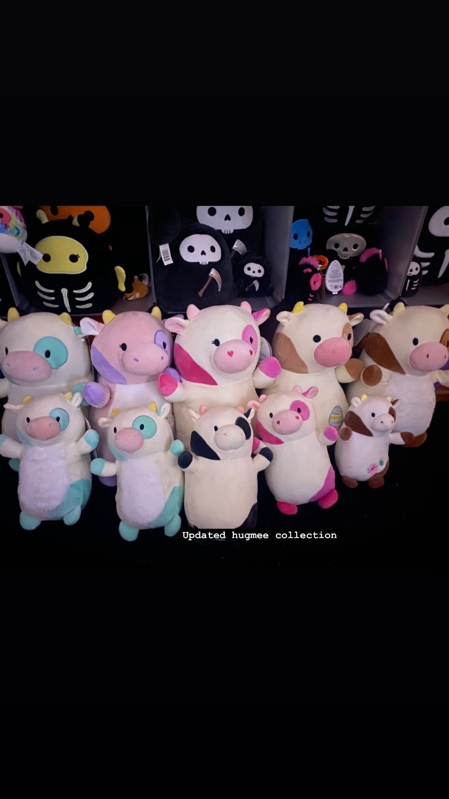 Squishmallow cows bundle