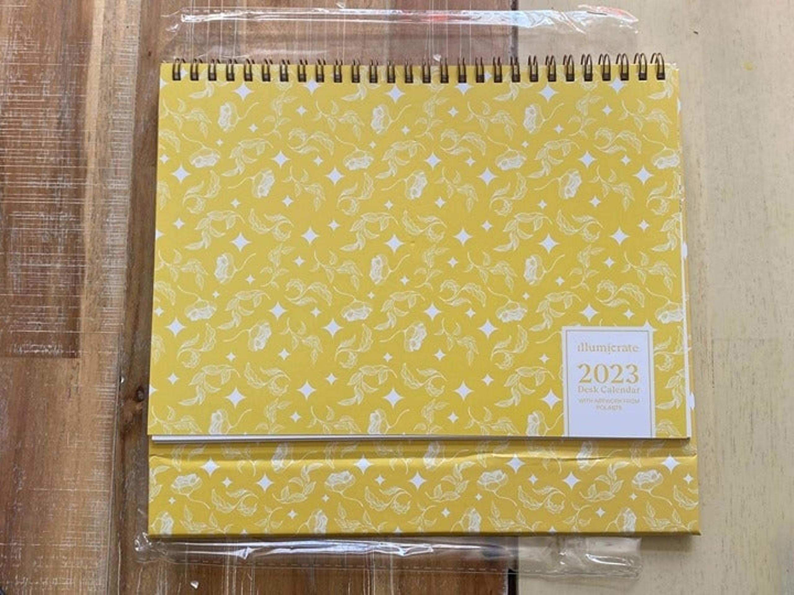 Illumicrate 2023 Desk Calendar