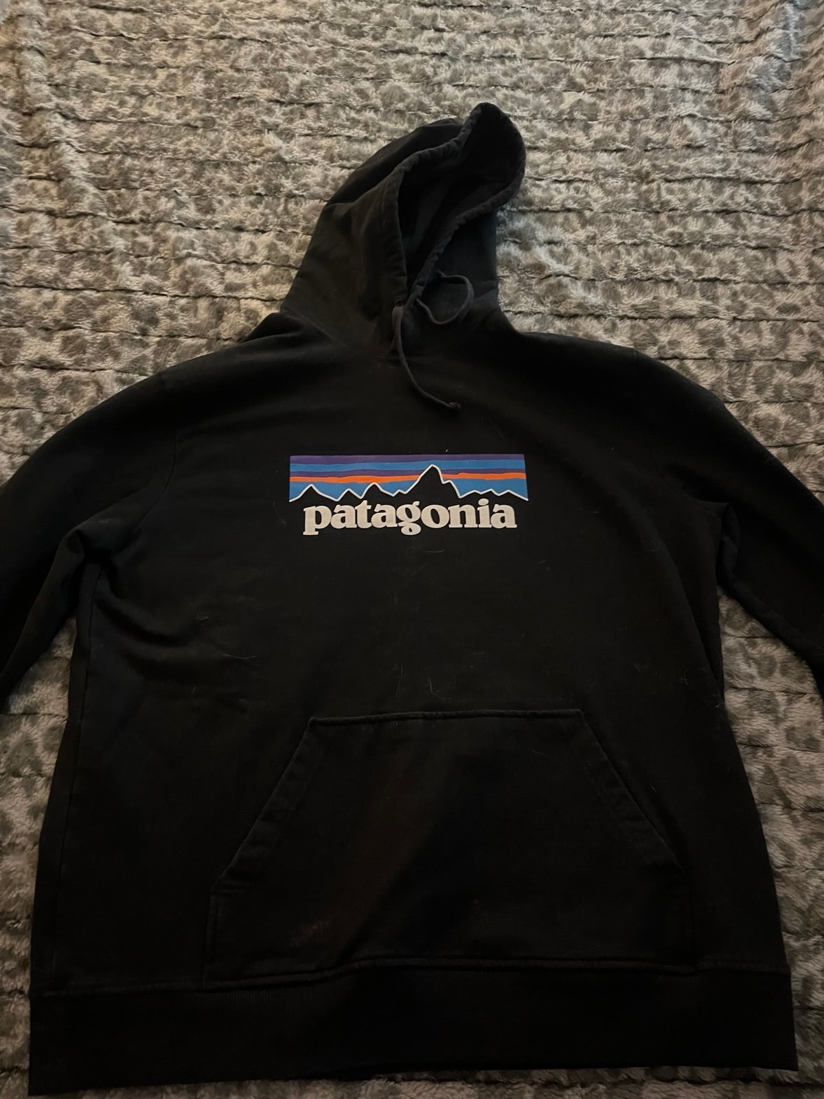 Patagonia hoodie (xl)
