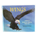 Runners Sliders Bouncers And Climbers & Wings POP-UP Nick Bantock Lot of 2